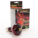 Super Reptile Red 75W infrared heating bulb